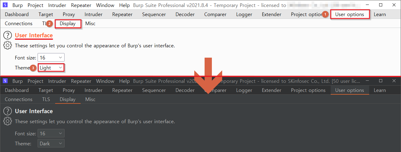 Burpsuite 다크모드 적용하는 방법 thumbnail